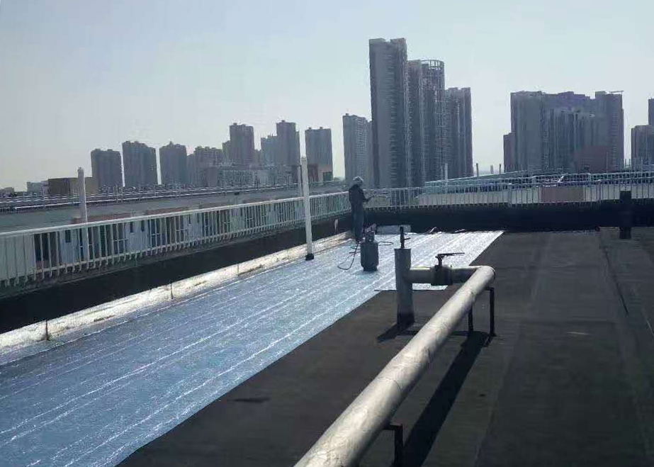 微信图片_20170721125449.jpg